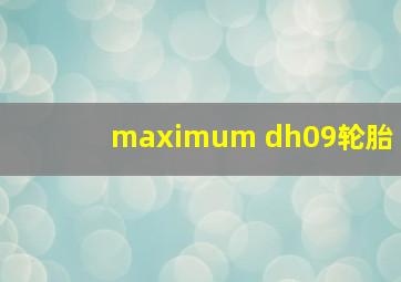 maximum dh09轮胎